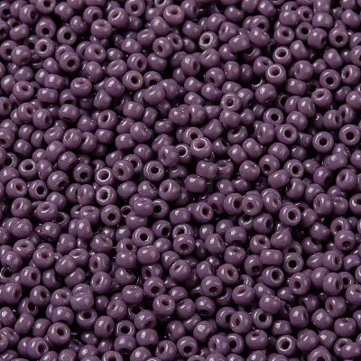 MIYUKI Round Rocailles Beads SEED-JP0009-RR4489-1