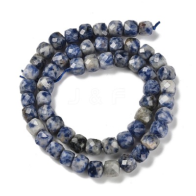 Natural Blue Spot Jasper Beads Strands G-H078-C20-01-1