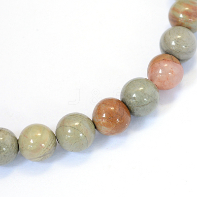 Natural Silver Leaf Jasper Round Bead Strands X-G-E334-6mm-04-1