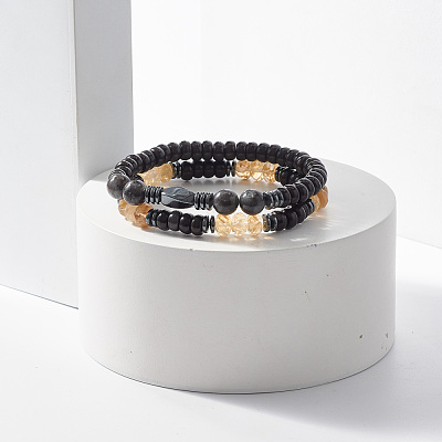 2Pcs 2 Style Coconut & Natural Larvikite & Watermelon Stone Glass Stretch Bracelets Set BJEW-JB07832-1