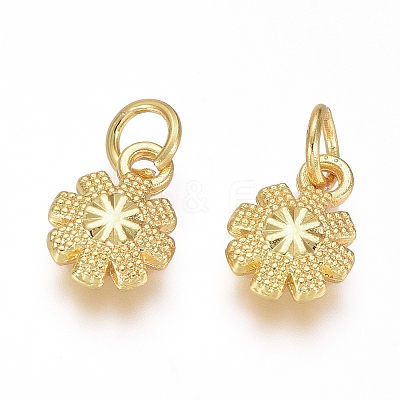 Electroplated Alloy Charms X-PALLOY-G267-11G-1