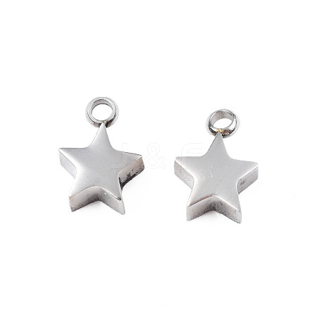 Non-Tarnish 304 Stainless Steel Charms STAS-N095-138-1