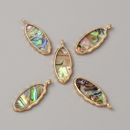 Resin Imitation Abalone Paua Shell Pendants FIND-WH0417-12A-1