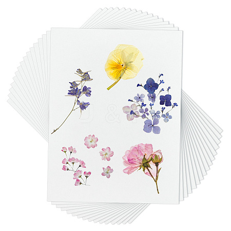 Dried Embossed Paper DIY-WH0622-646A-1