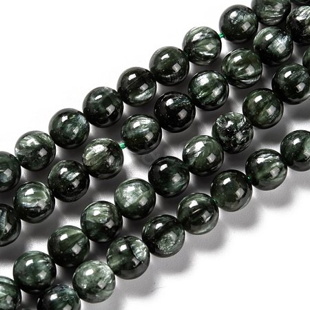 Natural Seraphinite Beads Strands G-E557-22D-1