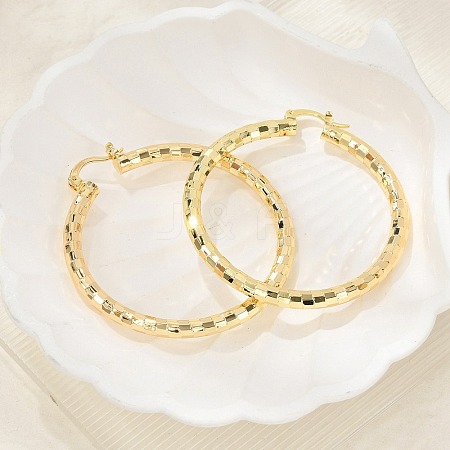 Brass Hoop Earrings EJEW-B117-06E-G-1