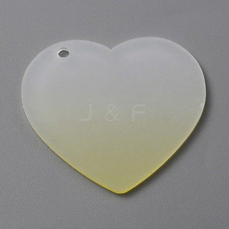 Gradient Transparent Acrylic Disc Big Pendants LS-FIND-WH0032-54F-1