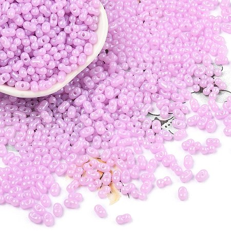 Baking Paint Glass Seed Beads SEED-L011-09A-10-1