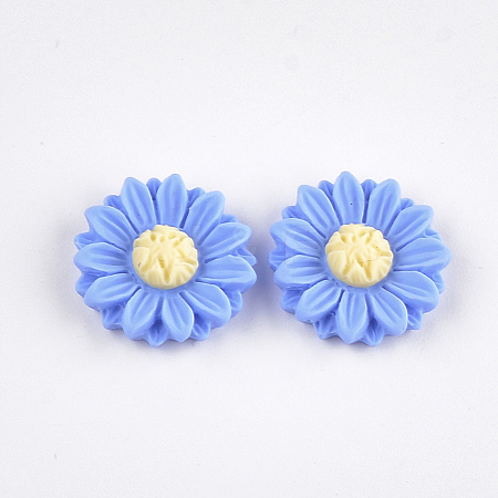 Resin Cabochons CRES-T010-60D-1
