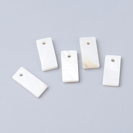 Freshwater Shell Pendants SHEL-S249-12-1
