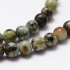 Natural African Turquoise(Jasper) Beads Strands X-G-D840-90-10mm-3