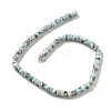 Natural Larimar Beads Strands G-Q024-B03-05-3