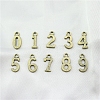 Alloy Pendants LS-PALLOY-WH0079-83AB-RS-1