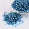 12/0 Glass Seed Beads X-SEED-A005-2mm-23B-1