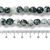 Natural Tree Agate Beads Strands G-NH0035-01-5