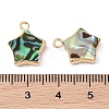 Natural Paua Shell Star Charms with Brass Edge SHEL-P017-15G-3