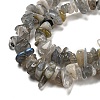 Natural Labradorite Beads Strands G-P332-23-5