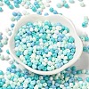 6/0 Opaque Baking Paint Glass Seed Beads SEED-M012-02A-23-2