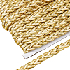 Polyester Braided Lace Ribbons OCOR-WH0105-181A-1