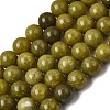 Natural Chinese Jade/Southern Jade Beads Strands X-G-F363-12mm-2