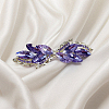 Crystal Glass Hair Barrettes PW-WG41250-01-1