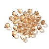 Transparent Glass Charms X1-GLAA-P070-A05-2