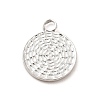 Non-Tarnish 304 Stainless Steel Charms STAS-F282-04P-2