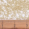 MIYUKI Delica Beads SEED-X0054-DB0621-4