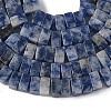 Natural Blue Spot Jasper Beads Strands G-A280-C06-01-5