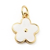 Rack Plating Brass Enamel Charms X-KK-G387-09G-2