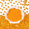 FGB Transparent Glass Seed Beads SEED-N013-01C-06-3
