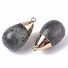 Top Golden Plated Natural Labradorite Pendants G-T131-02C-3