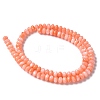 Natural Freshwater Shell Beads Strands SSHEL-C013-07A-2