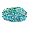 Polyester Fibers Knitting Yarn DIY-TADJ0002-005J-1