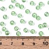 Transparent Glass Seed Beads SEED-N007-33A-05-4