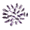 Natural Amethyst Beads Strands G-Q023-B02-01-3