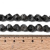 Natural Larvikite Beads Strands G-Z119-A32-02-6