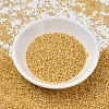 MIYUKI Delica Beads SEED-X0054-DB2186-2
