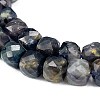 Natural Iolite Beads Strands G-C127-C01-01-3