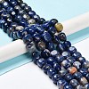 Natural Sodalite Beads Strands G-C038-02E-2