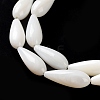 Natural Freshwater Shell Beads Strands SSHEL-B002-16-3