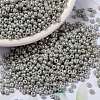 MIYUKI Round Rocailles Beads SEED-JP0009-RR1866-1