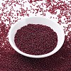 MIYUKI Round Rocailles Beads SEED-X0054-RR0315-1
