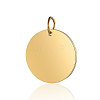 Ion Plating(IP) 304 Stainless Steel Pendants STAS-I311-32H-G-1
