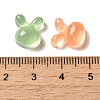 Transparent Resin Decoden Cabochons with Glitter Powder RESI-E053-08D-3