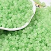 Transparent Colours Glass Seed Beads SEED-R001-01K-1