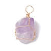 Raw Rough Natural Amethyst Copper Wire Wrapped Pendants PALLOY-JF02787-02-3