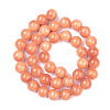 Natural Mashan Jade Beads Strands DJAD-6D-18-2-3