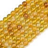 Handmade Lampwork Beads Strand LAMP-B056-8mm-07-2