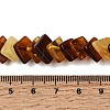 Natural Amber Beads Strands G-K376-C04-01-5